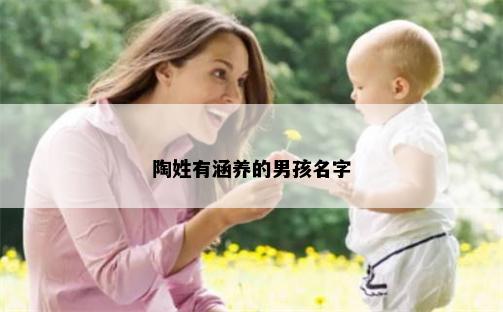 陶姓有涵养的男孩名字