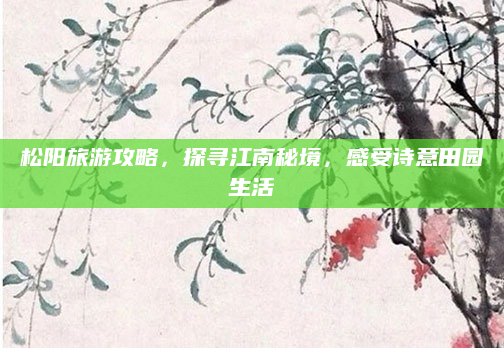 松阳旅游攻略,探寻江南秘境,感受诗意田园生活