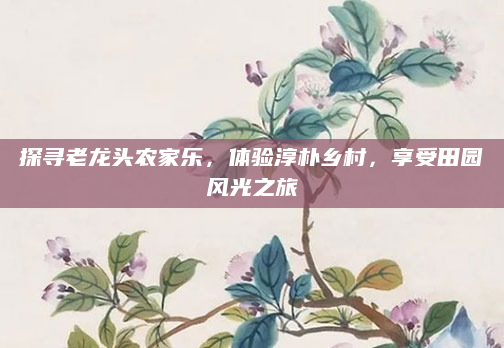探寻老龙头农家乐,体验淳朴乡村,享受田园风光之旅
