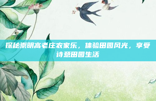 探秘崇明高老庄农家乐,体验田园风光,享受诗意田园生活