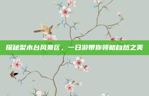 探秘梨木台风景区,一日游带你领略自然之美