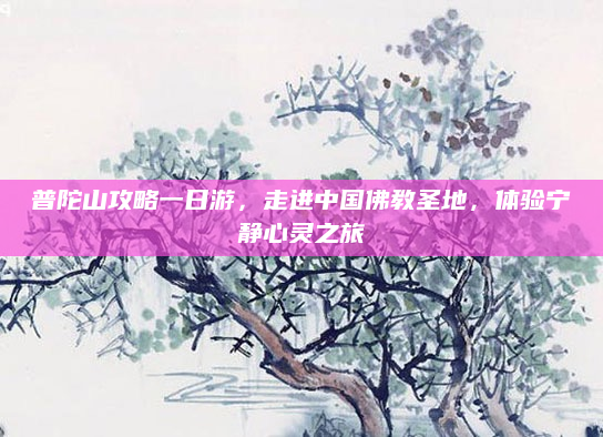 普陀山攻略一日游,走进中国佛教圣地,体验宁静心灵之旅