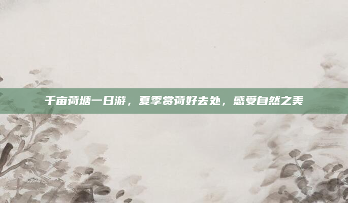千亩荷塘一日游,夏季赏荷好去处,感受自然之美