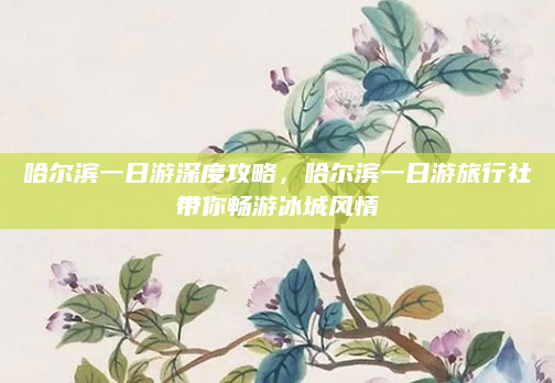 哈尔滨一日游深度攻略,哈尔滨一日游旅行社带你畅游冰城风情