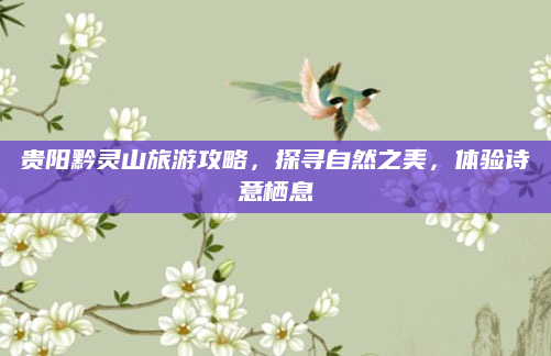 贵阳黔灵山旅游攻略,探寻自然之美,体验诗意栖息