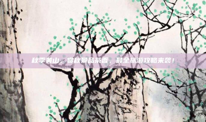 秋季黄山,赏秋景品茶香,最全旅游攻略来袭!