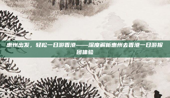 惠州出发,轻松一日游香港——深度解析惠州去香港一日游报团体验