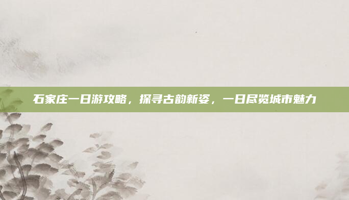 石家庄一日游攻略,探寻古韵新姿,一日尽览城市魅力