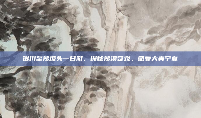 银川至沙坡头一日游,探秘沙漠奇观,感受大美宁夏