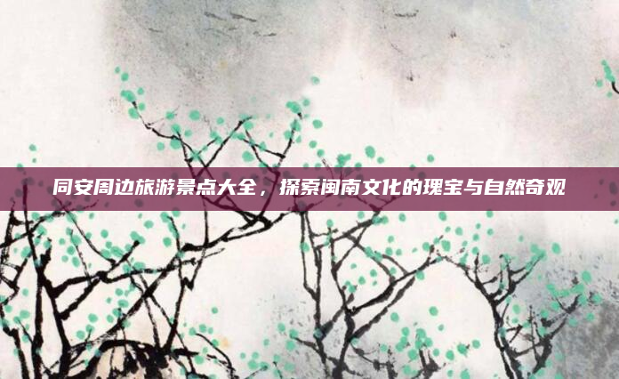 同安周边旅游景点大全,探索闽南文化的瑰宝与自然奇观