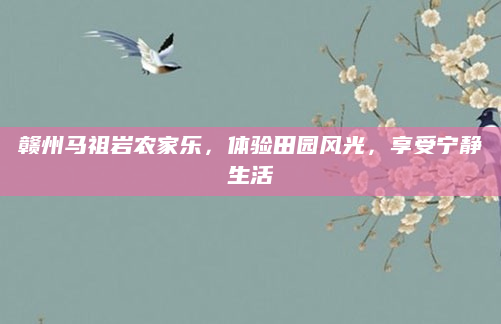 赣州马祖岩农家乐,体验田园风光,享受宁静生活