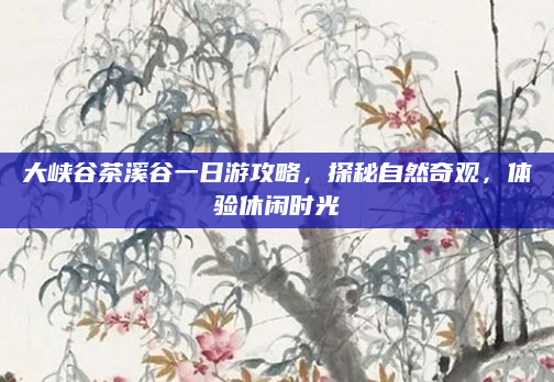 大峡谷茶溪谷一日游攻略,探秘自然奇观,体验休闲时光