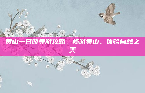 黄山一日游导游攻略,畅游黄山,体验自然之美
