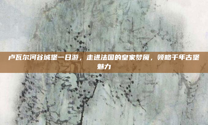 卢瓦尔河谷城堡一日游,走进法国的皇家梦魇,领略千年古堡魅力