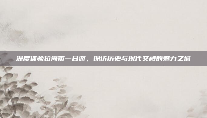 深度体验拉海市一日游,探访历史与现代交融的魅力之城