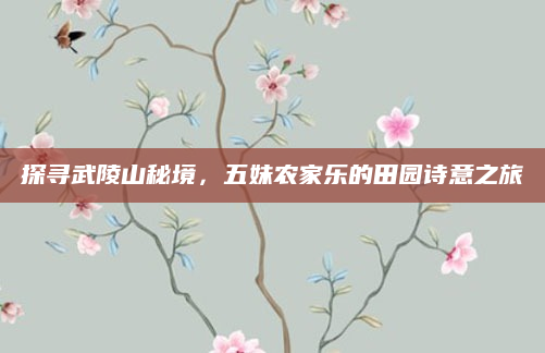 探寻武陵山秘境，五妹农家乐的田园诗意之旅