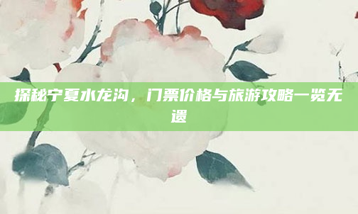 探秘宁夏水龙沟,门票价格与旅游攻略一览无遗
