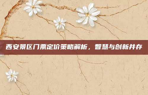 西安景区门票定价策略解析,智慧与创新并存
