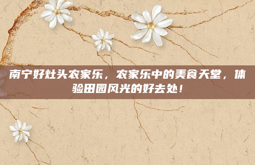 南宁好灶头农家乐,农家乐中的美食天堂,体验田园风光的好去处!