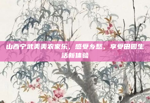 山西宁武美美农家乐,感受乡愁,享受田园生活新体验