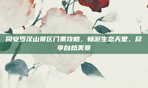 同安罗汉山景区门票攻略，畅游生态天堂，尽享自然美景
