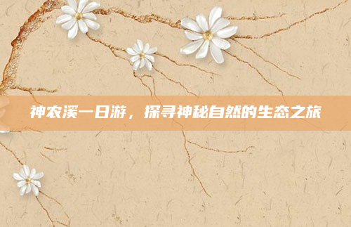 神农溪一日游,探寻神秘自然的生态之旅
