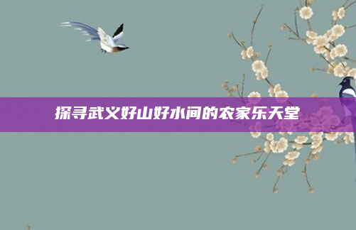 探寻武义好山好水间的农家乐天堂