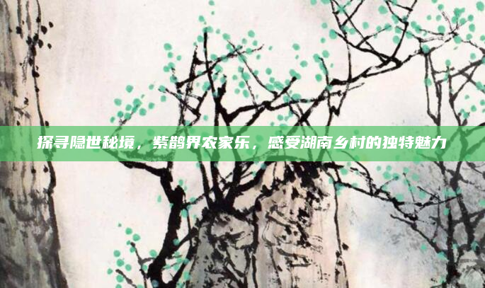 探寻隐世秘境,紫鹊界农家乐,感受湖南乡村的独特魅力