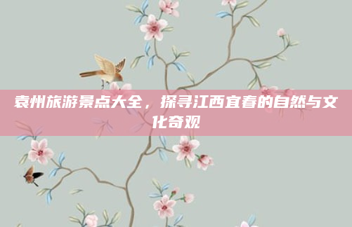 袁州旅游景点大全,探寻江西宜春的自然与文化奇观