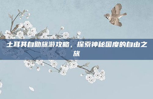 土耳其自助旅游攻略,探索神秘国度的自由之旅