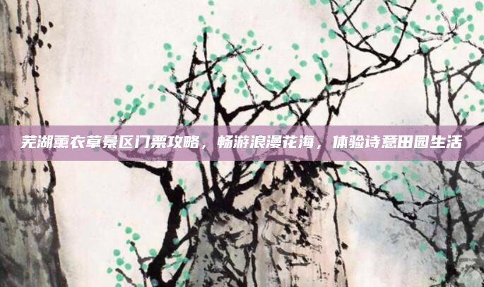 芜湖薰衣草景区门票攻略，畅游浪漫花海，体验诗意田园生活