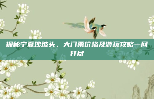 探秘宁夏沙坡头,大门票价格及游玩攻略一网打尽