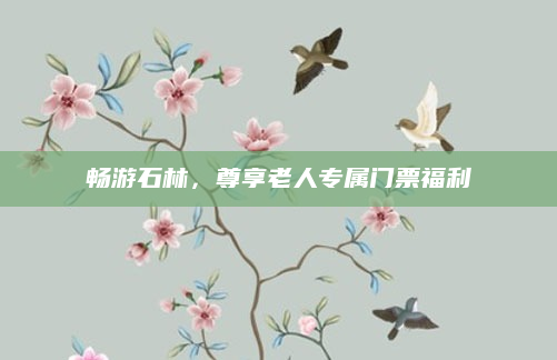 畅游石林，尊享老人专属门票福利