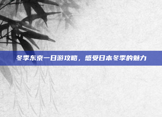 冬季东京一日游攻略,感受日本冬季的魅力