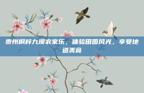 贵州桐梓九坝农家乐,体验田园风光,享受地道美食