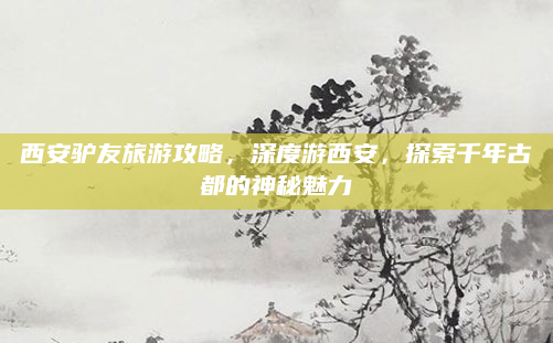 西安驴友旅游攻略,深度游西安,探索千年古都的神秘魅力