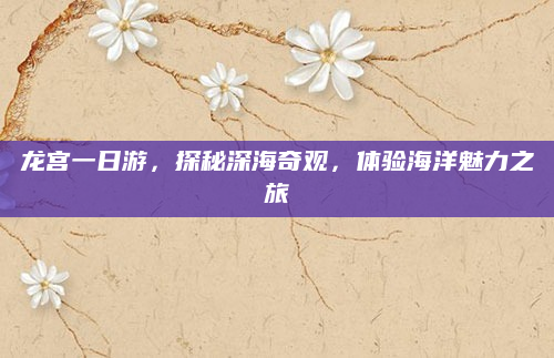 龙宫一日游,探秘深海奇观,体验海洋魅力之旅