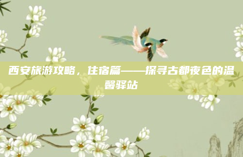 西安旅游攻略,住宿篇——探寻古都夜色的温馨驿站
