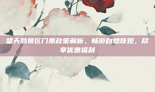 望天鹅景区门票政策解析,畅游自然奇观,尽享优惠福利