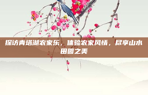 探访青塔湖农家乐，体验农家风情，尽享山水田园之美