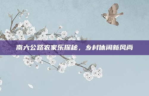 南六公路农家乐探秘,乡村休闲新风尚