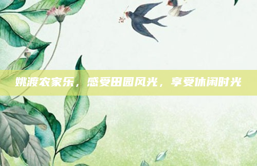 姚渡农家乐,感受田园风光,享受休闲时光