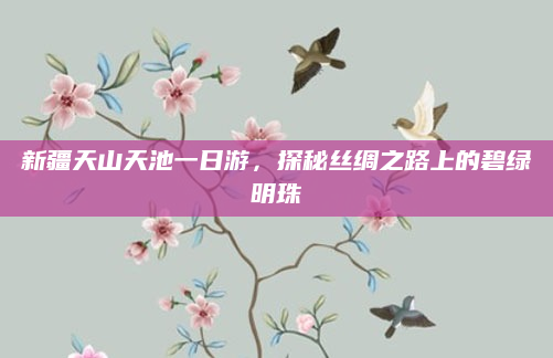 新疆天山天池一日游,探秘丝绸之路上的碧绿明珠