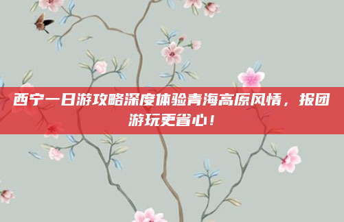 西宁一日游攻略深度体验青海高原风情,报团游玩更省心!
