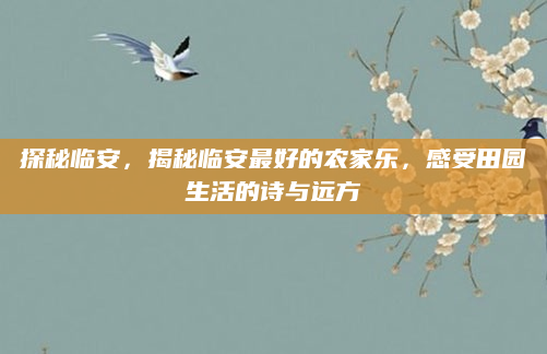 探秘临安,揭秘临安最好的农家乐,感受田园生活的诗与远方