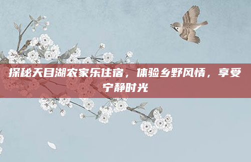 探秘天目湖农家乐住宿,体验乡野风情,享受宁静时光