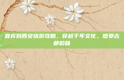 宜宾到西安旅游攻略,穿越千年文化,感受古都韵味