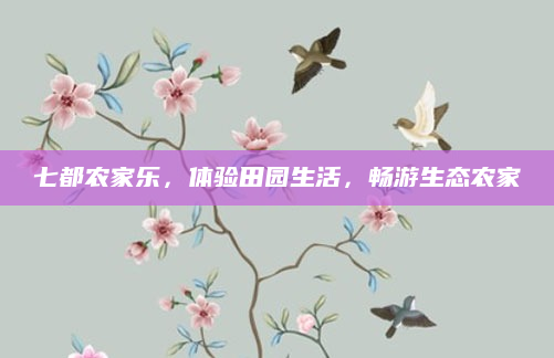 七都农家乐,体验田园生活,畅游生态农家