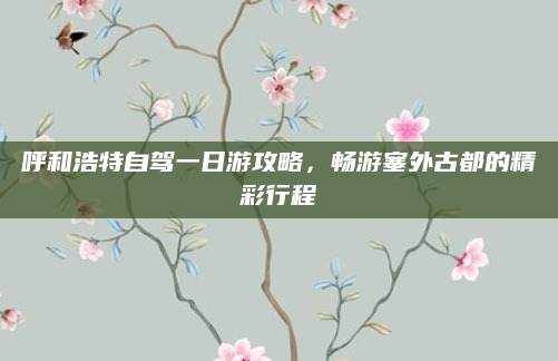呼和浩特自驾一日游攻略,畅游塞外古都的精彩行程