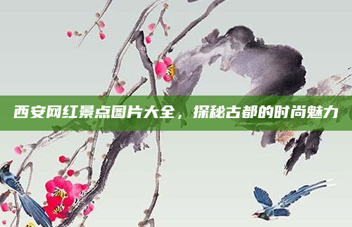 西安网红景点图片大全,探秘古都的时尚魅力